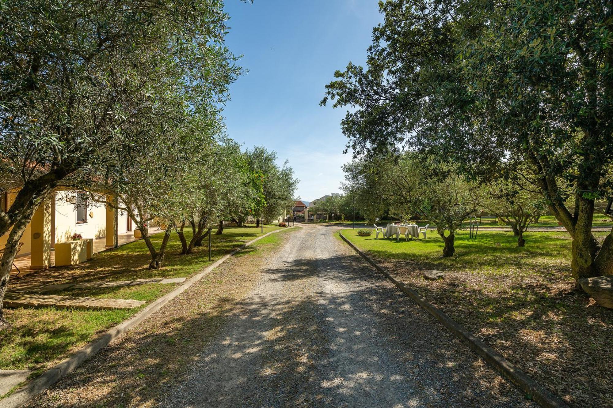 Residenza Parco Degli Ulivi Villa Villamassargia Exteriör bild